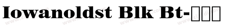 Iowanoldst Blk Bt字体转换